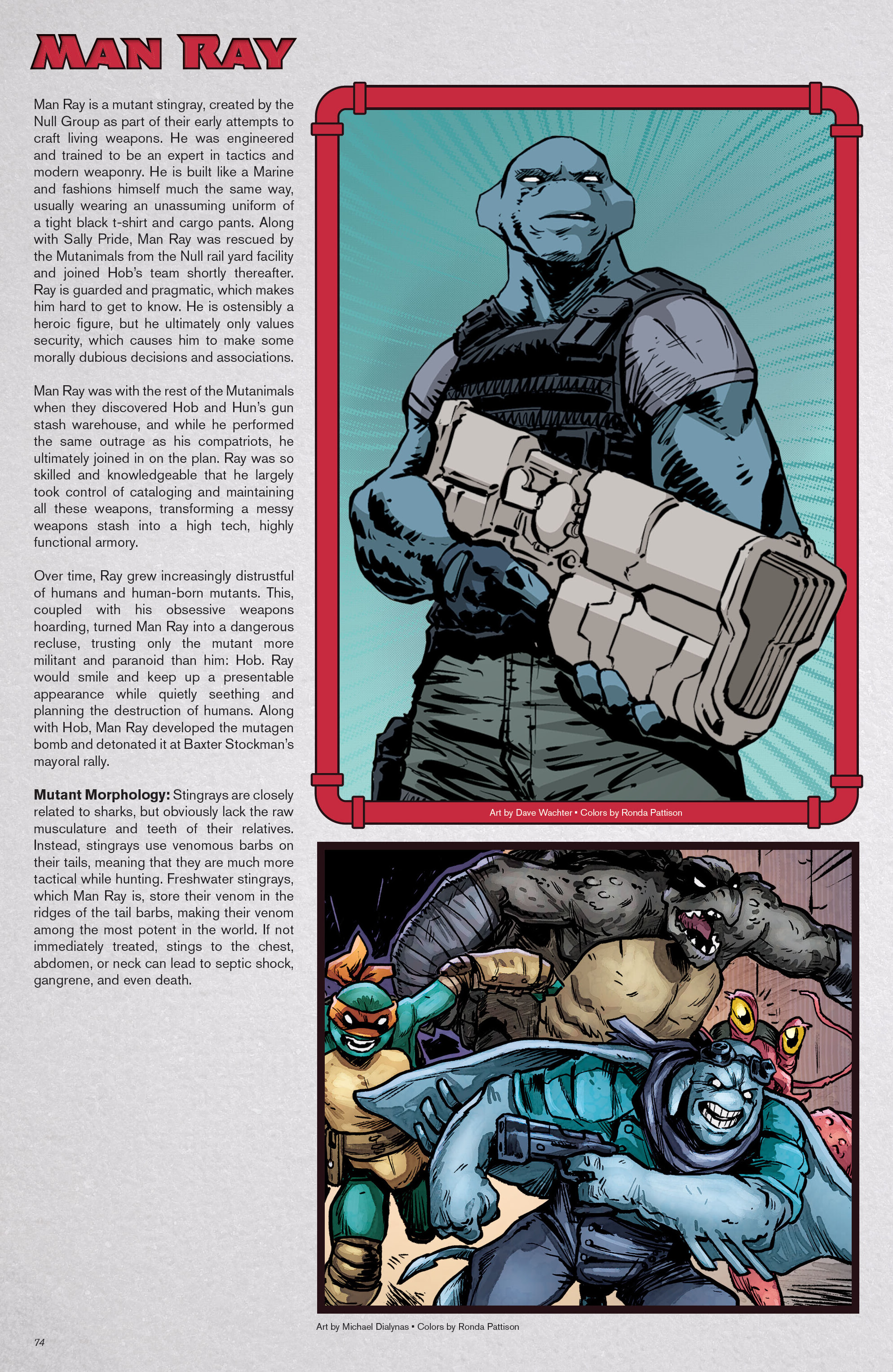 Teenage Mutant Ninja Turtles: Sourcebook (2024-) issue 1 - Page 66