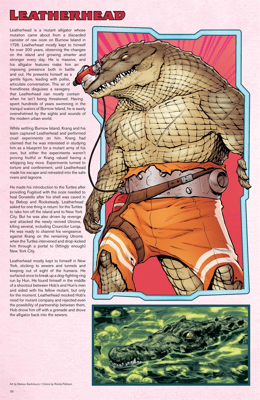 Teenage Mutant Ninja Turtles: Sourcebook (2024-) issue 2 - Page 33