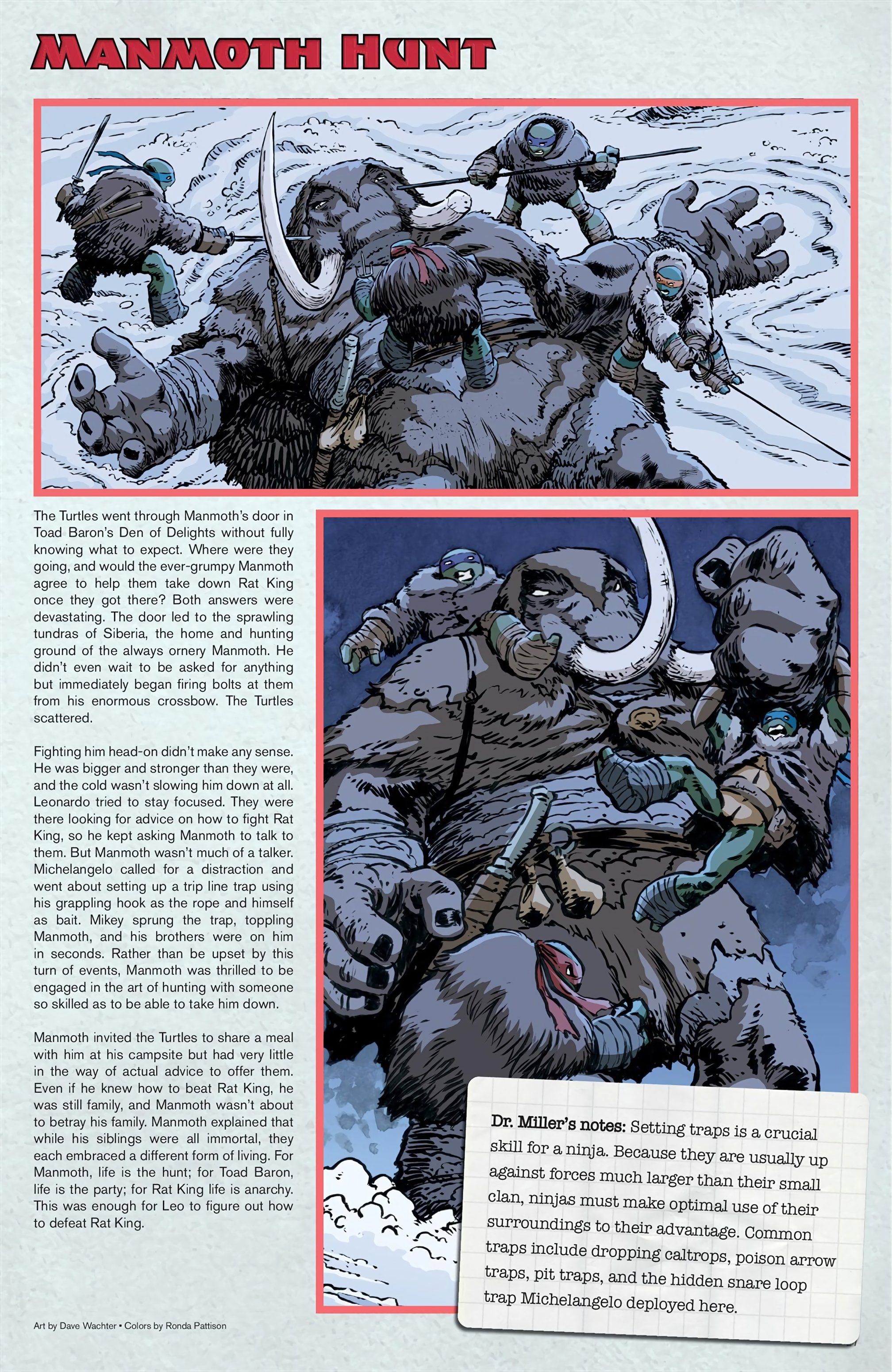 Teenage Mutant Ninja Turtles: Sourcebook (2024-) issue 3 - Page 22