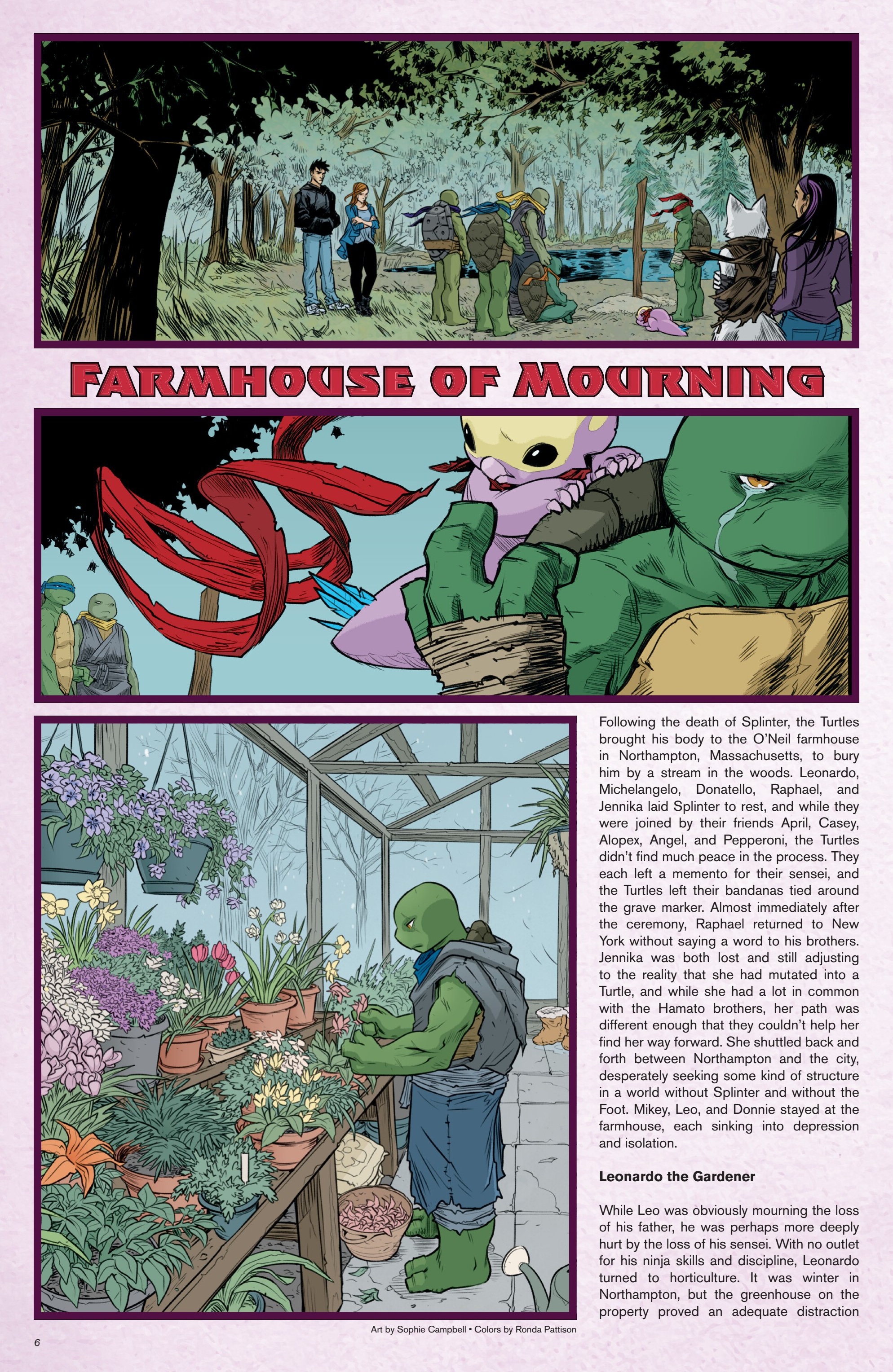 Teenage Mutant Ninja Turtles: Sourcebook (2024-) issue 4 - Page 7