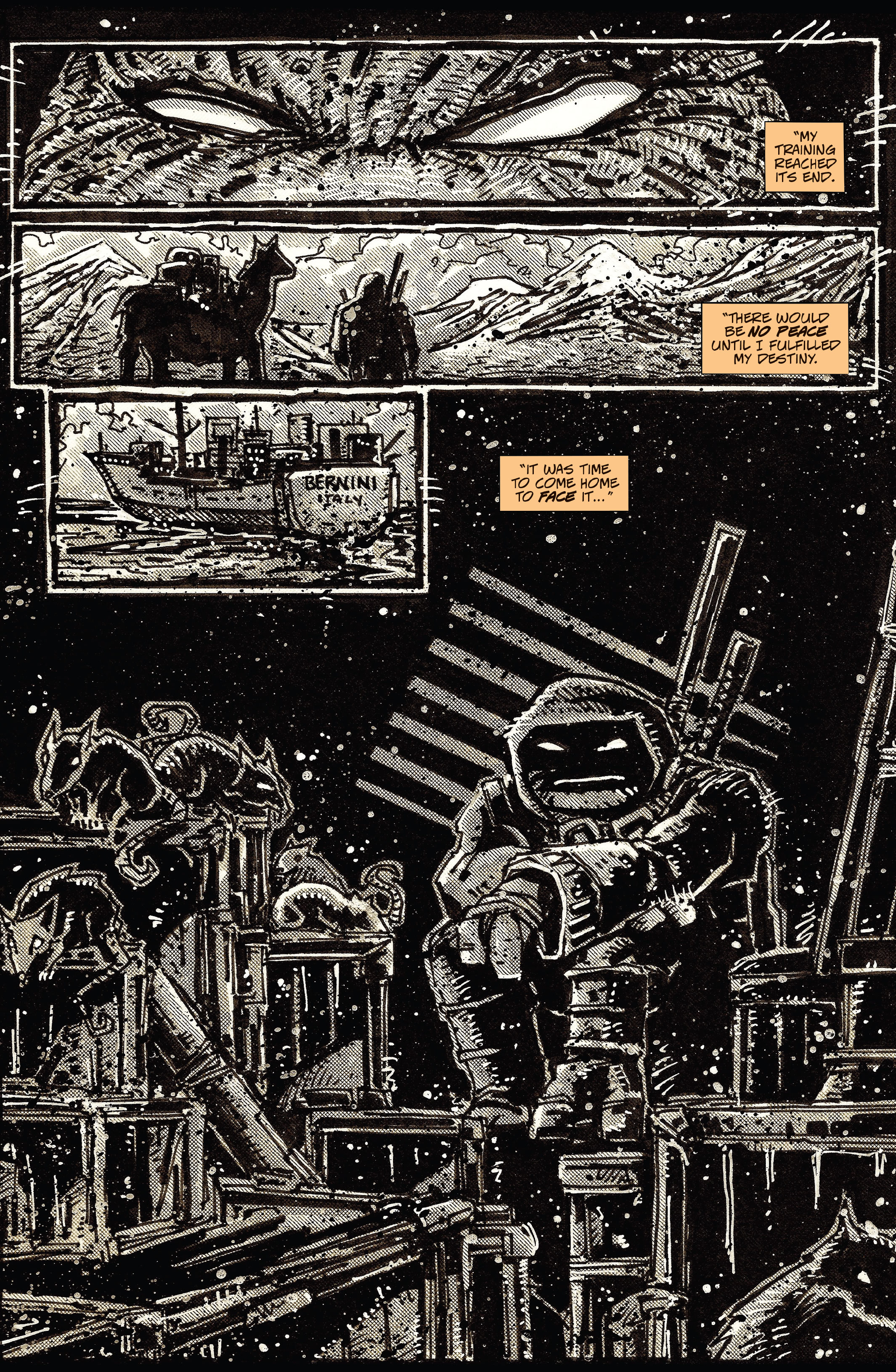 Teenage Mutant Ninja Turtles: The Last Ronin (2020-) issue 2 - Page 40