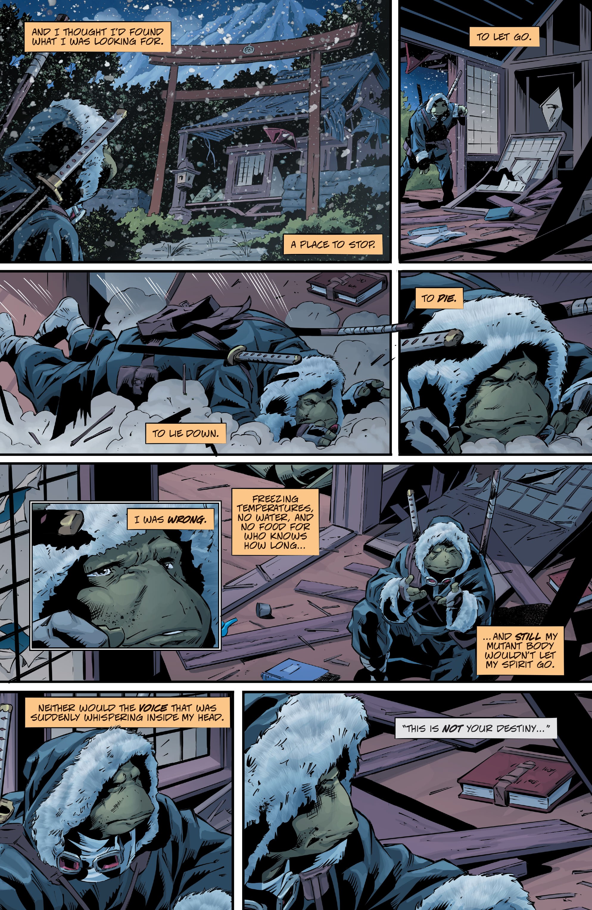 Teenage Mutant Ninja Turtles: The Last Ronin - The Lost Years (2023-) issue 1 - Page 12