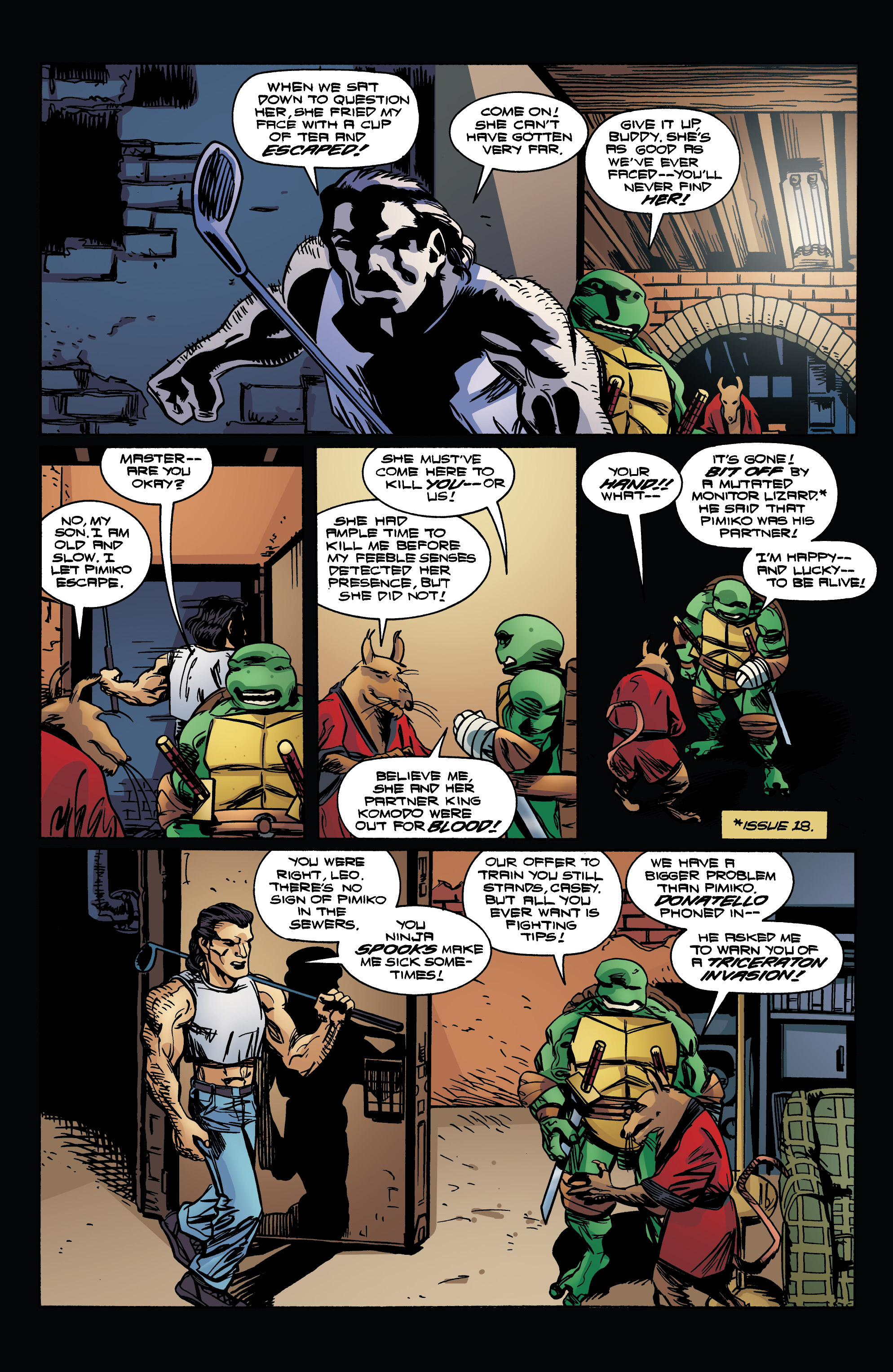 Teenage Mutant Ninja Turtles: Urban Legends (2018-) issue 20 - Page 14