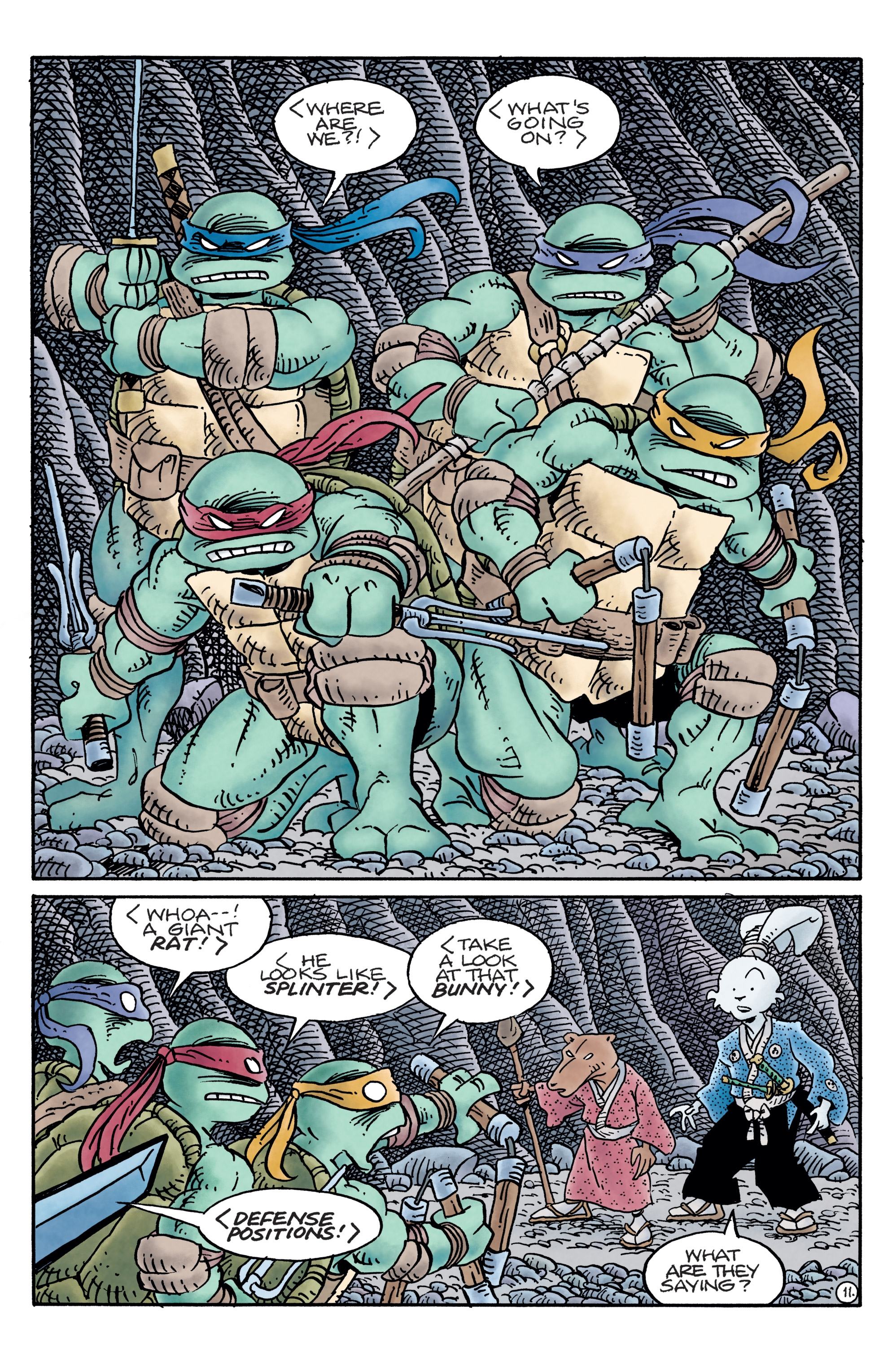 Teenage Mutant Ninja Turtles / Usagi Yojimbo (2017) issue 1 - Page 13