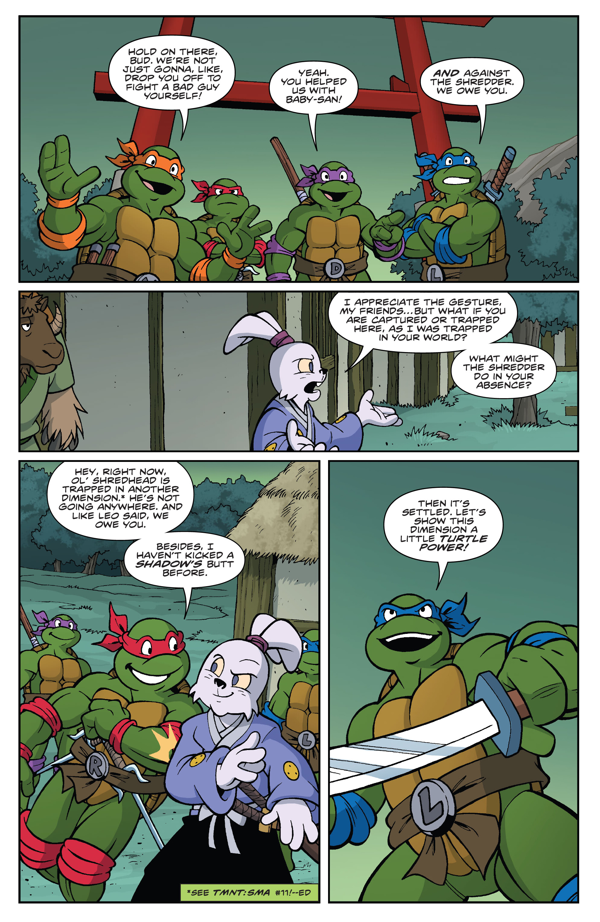 Teenage Mutant Ninja Turtles / Usagi Yojimbo: Saturday Morning Adventures (2024-) issue 1 - Page 15