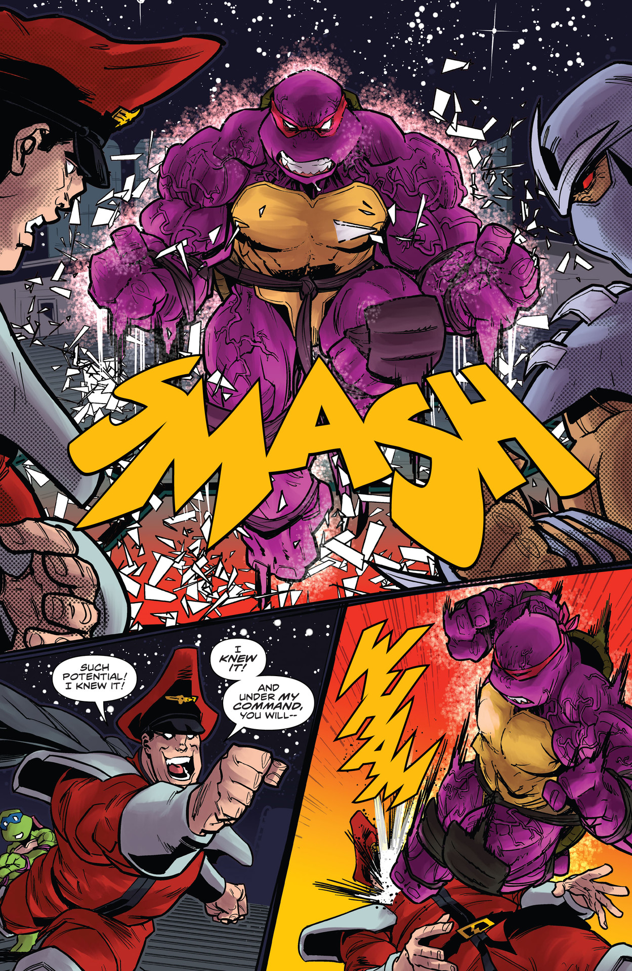 Teenage Mutant Ninja Turtles vs. Street Fighter (2023-) issue 5 - Page 14