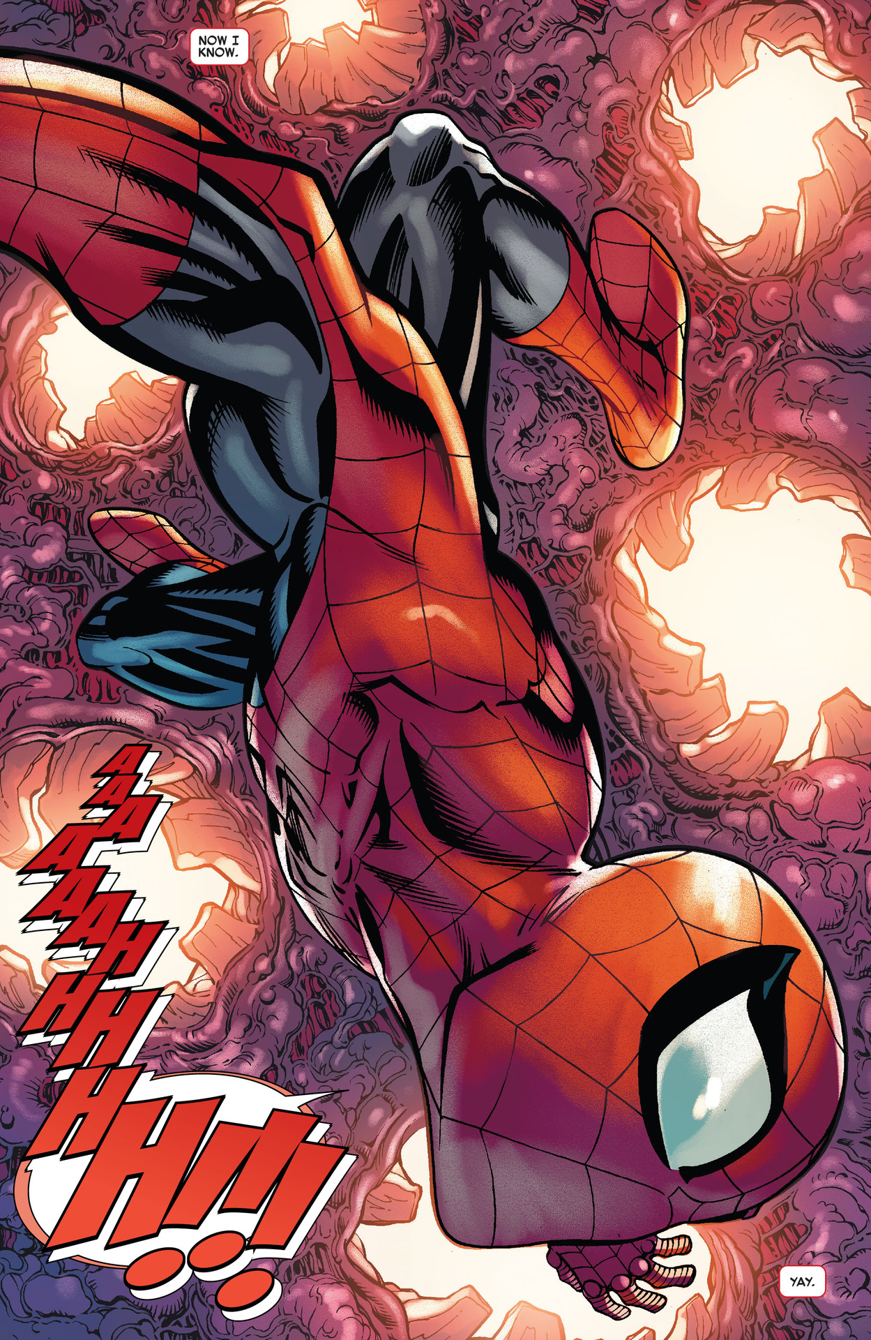 The Amazing Spider-Man (2022-) issue 38 - Page 3