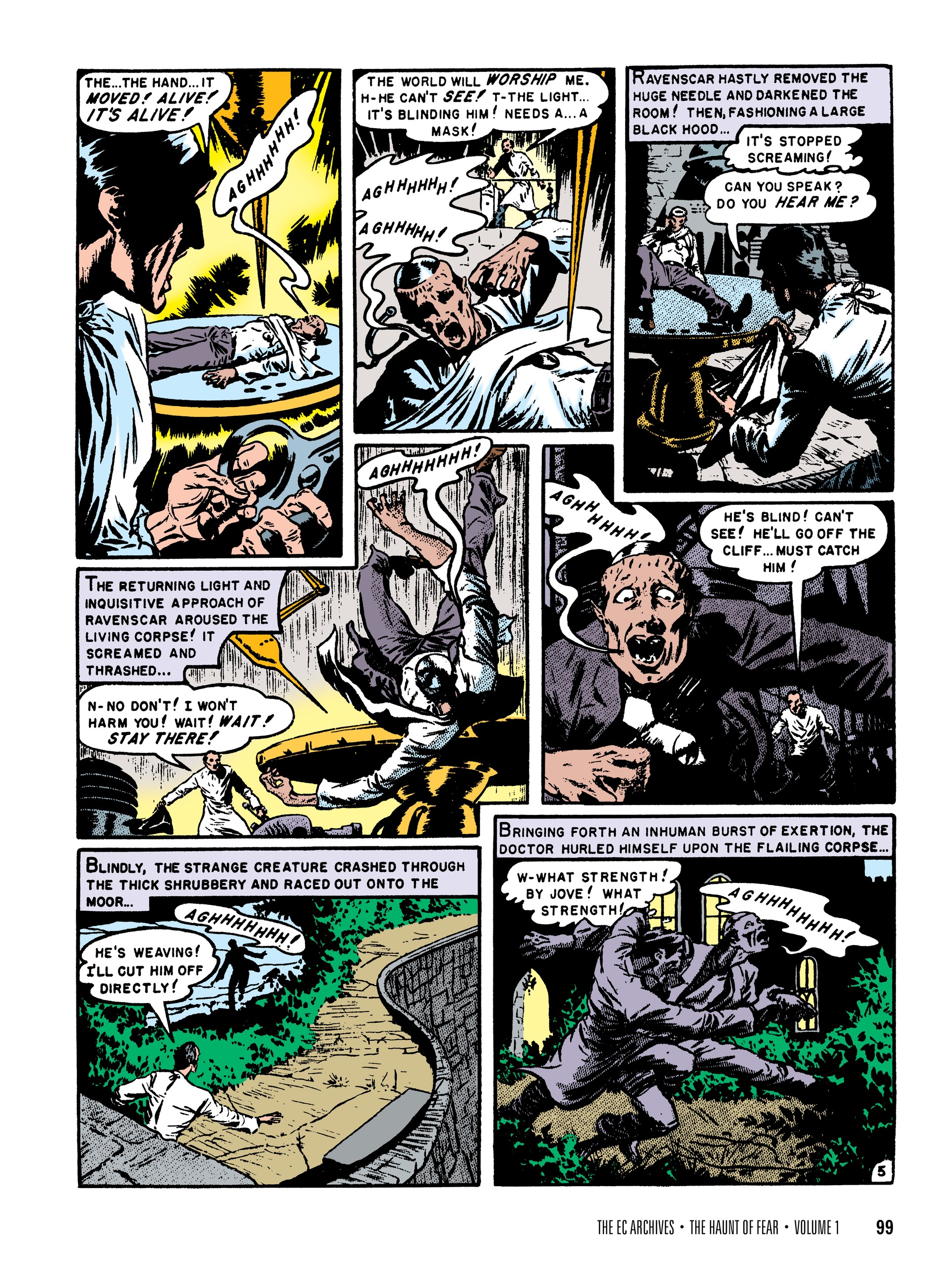 The EC Archives: The Haunt of Fear (2021-) issue Vol. 1 - Page 101