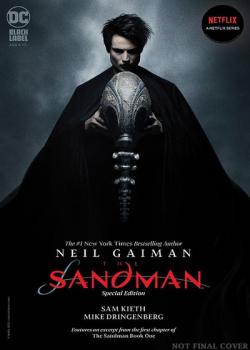The Sandman (2022-)