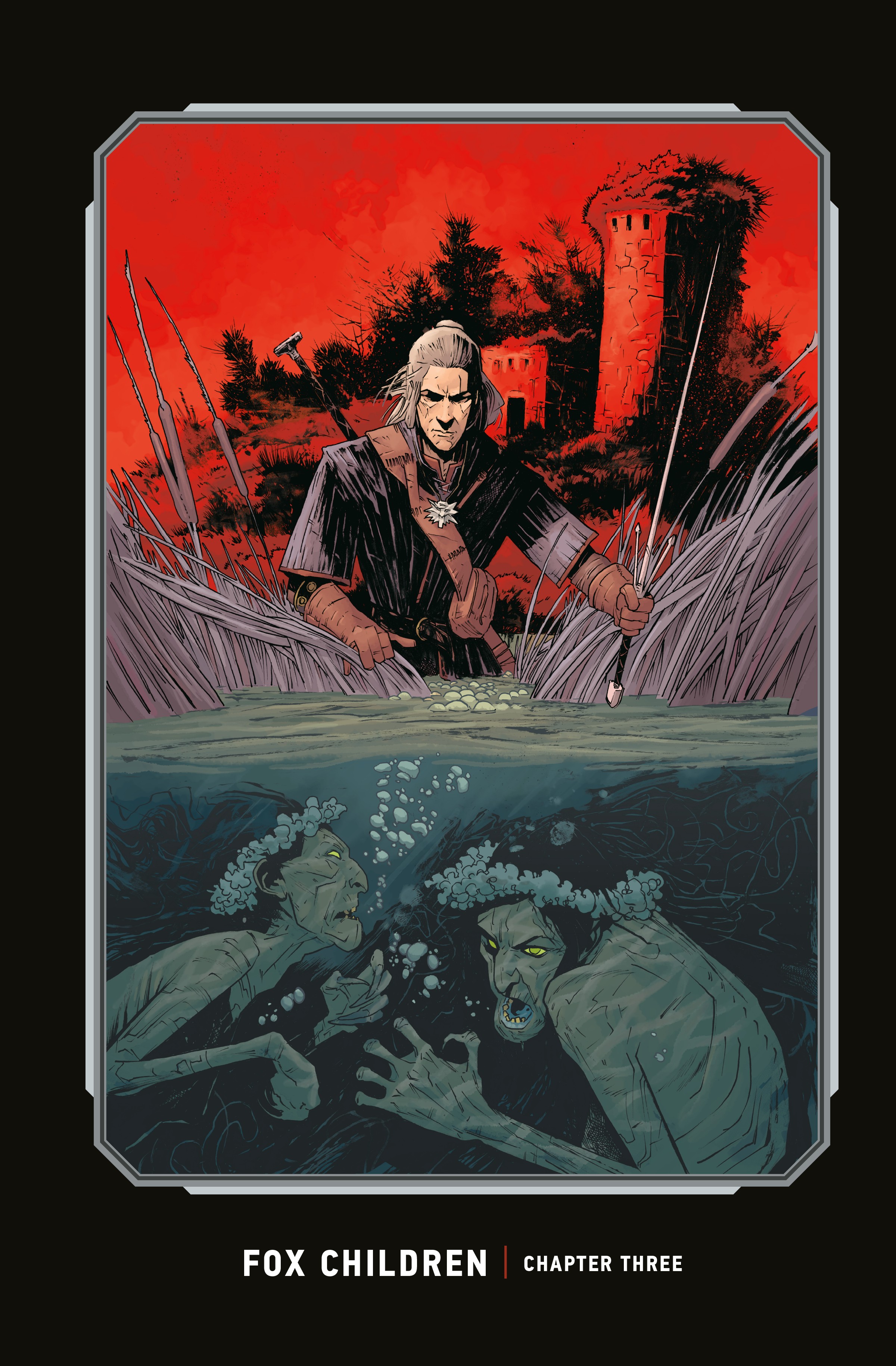 The Witcher: Library Edition (2018-) issue Vol. 1 - Page 174