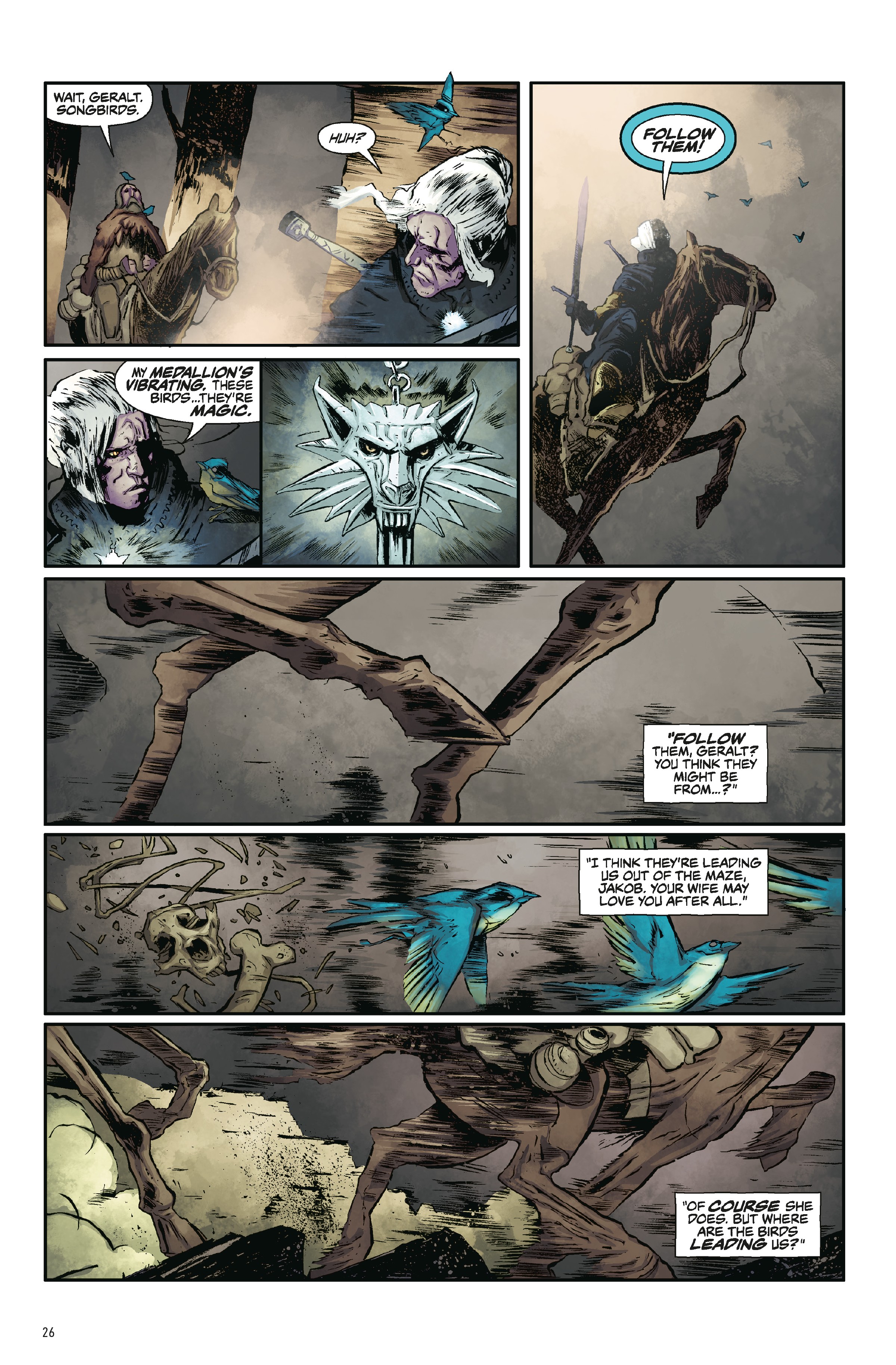 The Witcher: Library Edition (2018-) issue Vol. 1 - Page 27