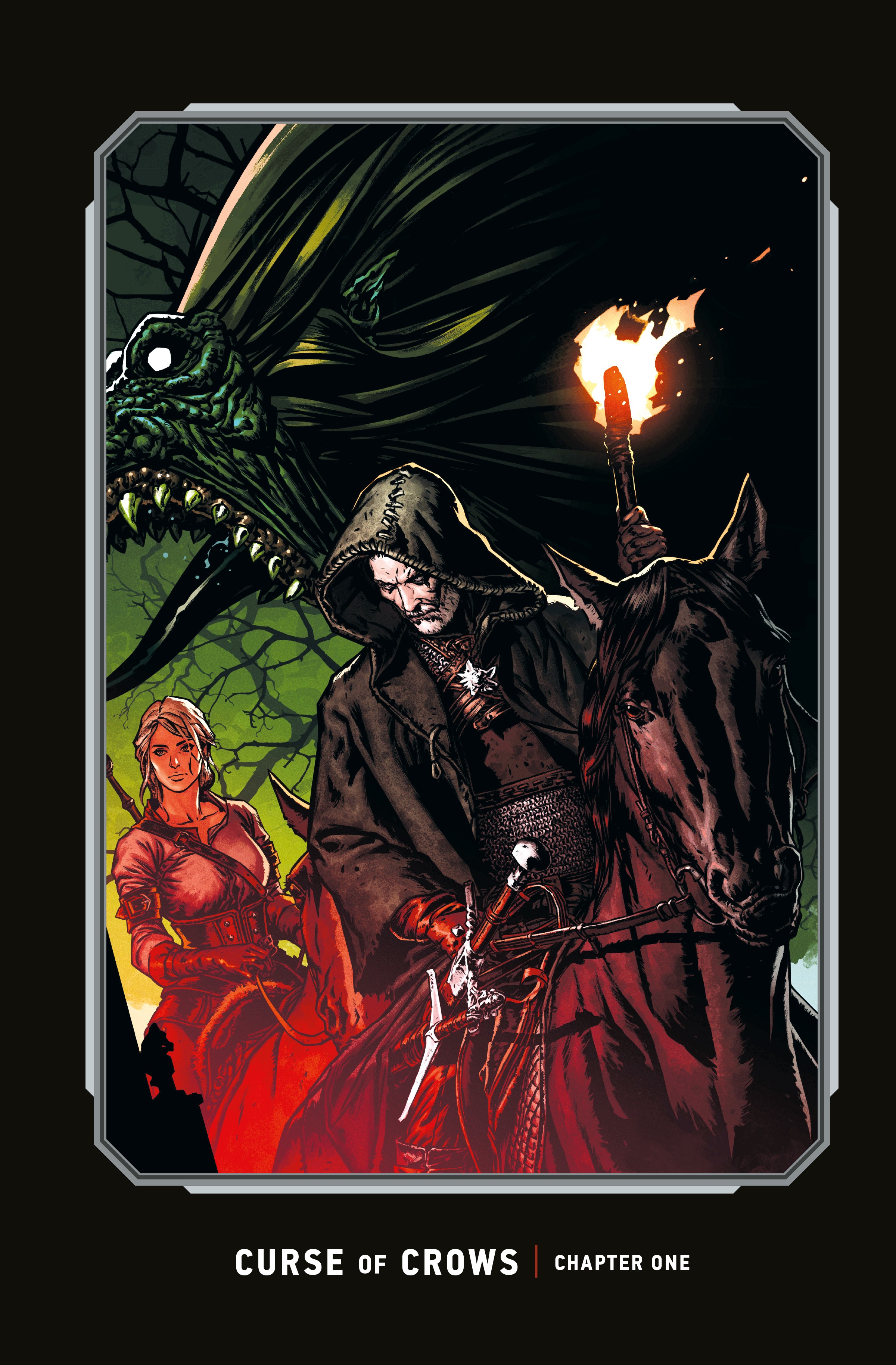 The Witcher: Library Edition (2018-) issue Vol. 1 - Page 296