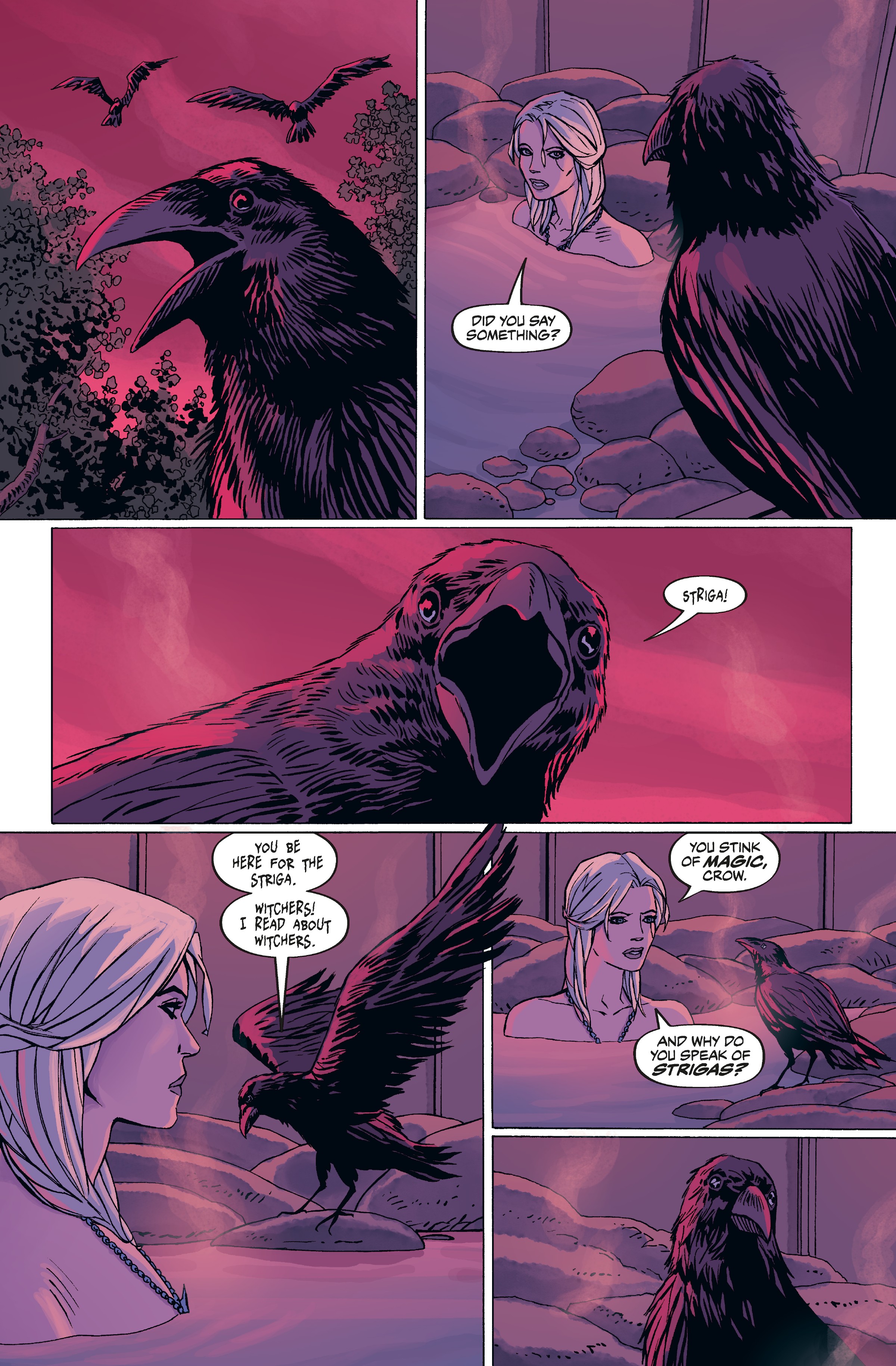 The Witcher: Library Edition (2018-) issue Vol. 1 - Page 322