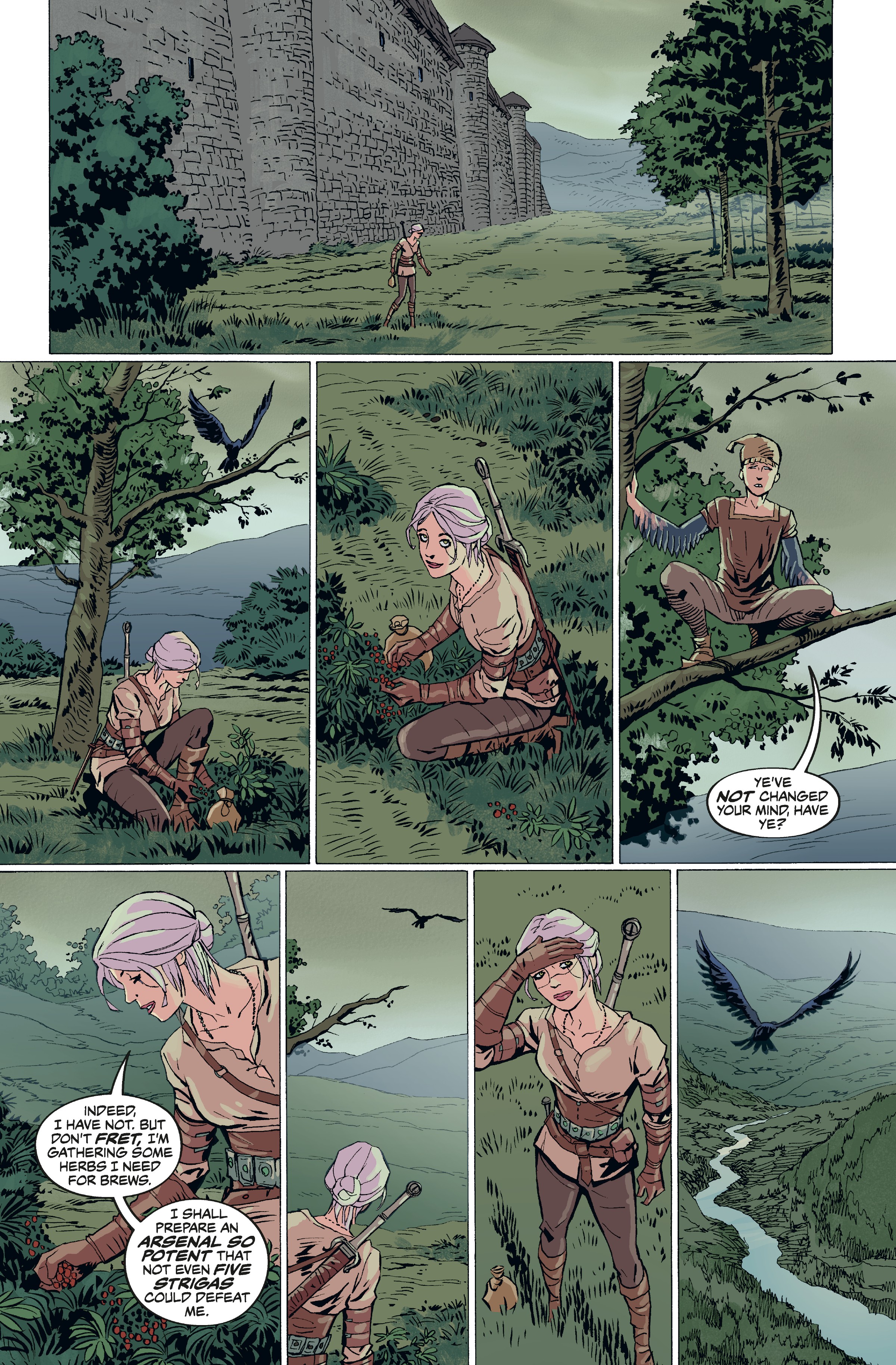 The Witcher: Library Edition (2018-) issue Vol. 1 - Page 381