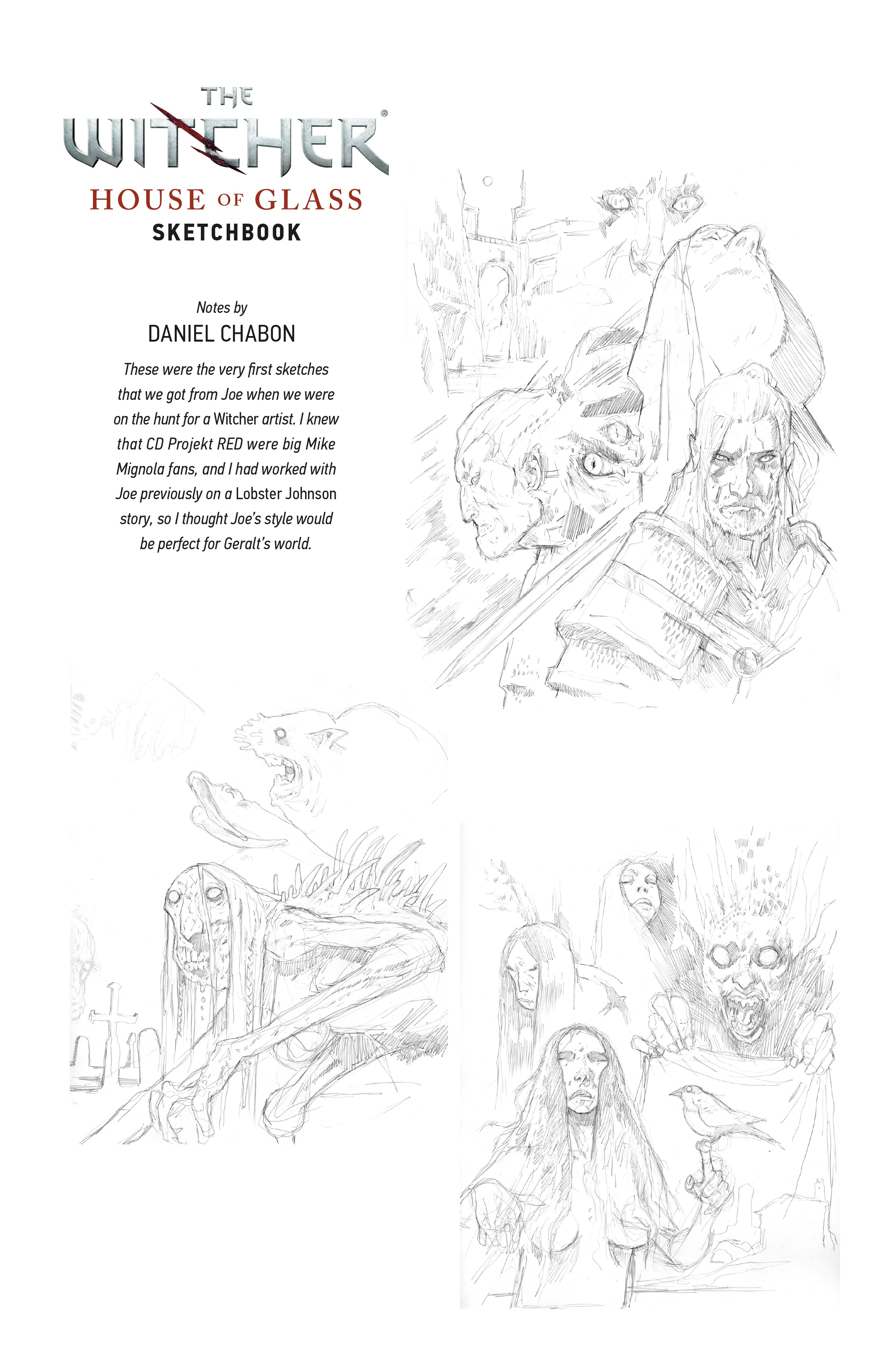 The Witcher: Library Edition (2018-) issue Vol. 1 - Page 420