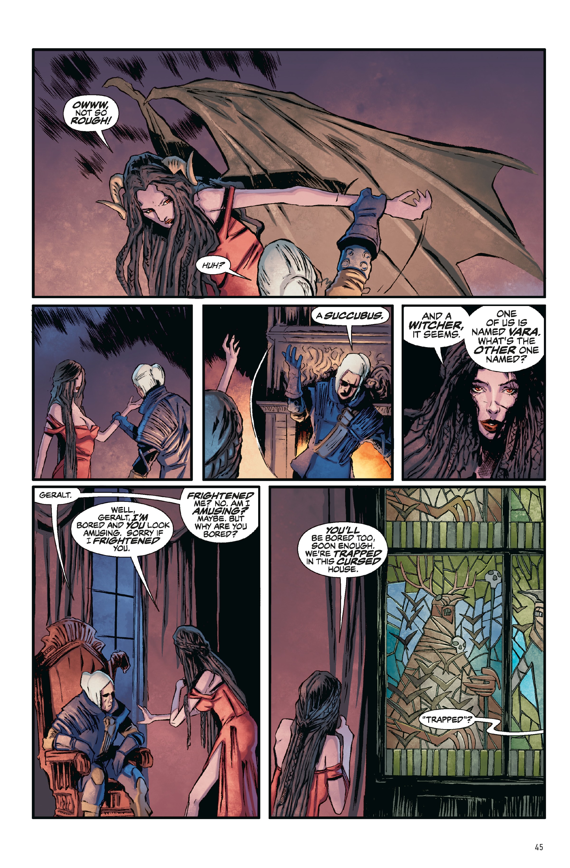 The Witcher: Library Edition (2018-) issue Vol. 1 - Page 46