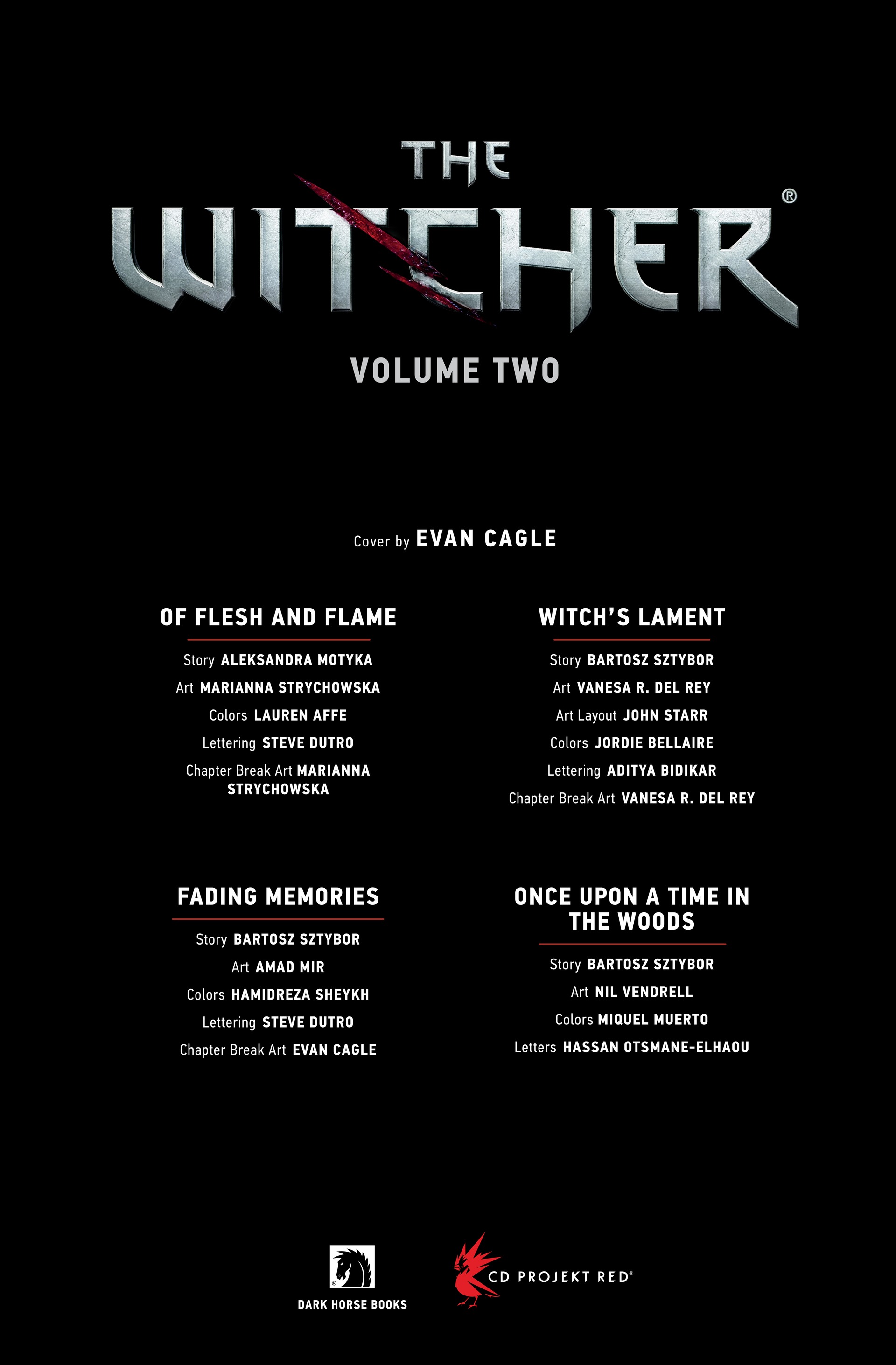 The Witcher: Library Edition (2018-) issue Vol. 2 - Page 5