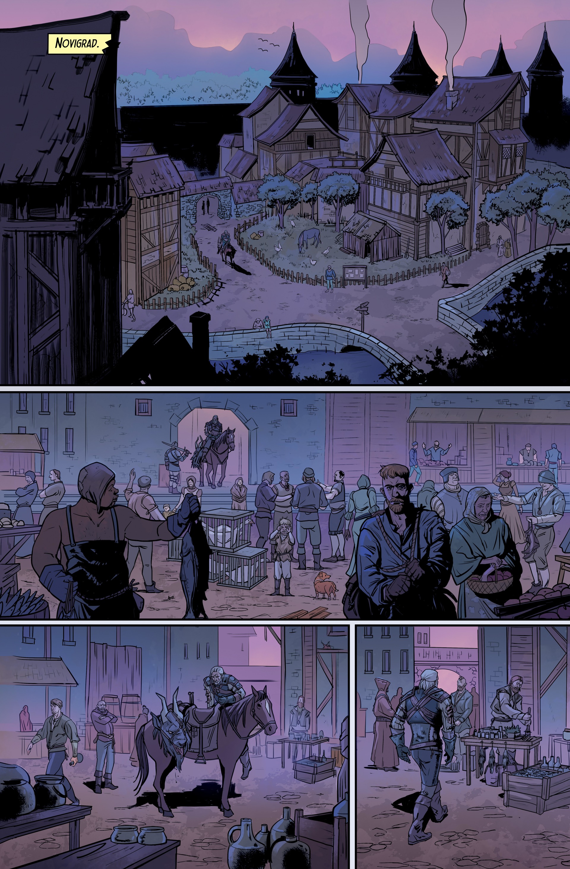 The Witcher: Library Edition (2018-) issue Vol. 2 - Page 11