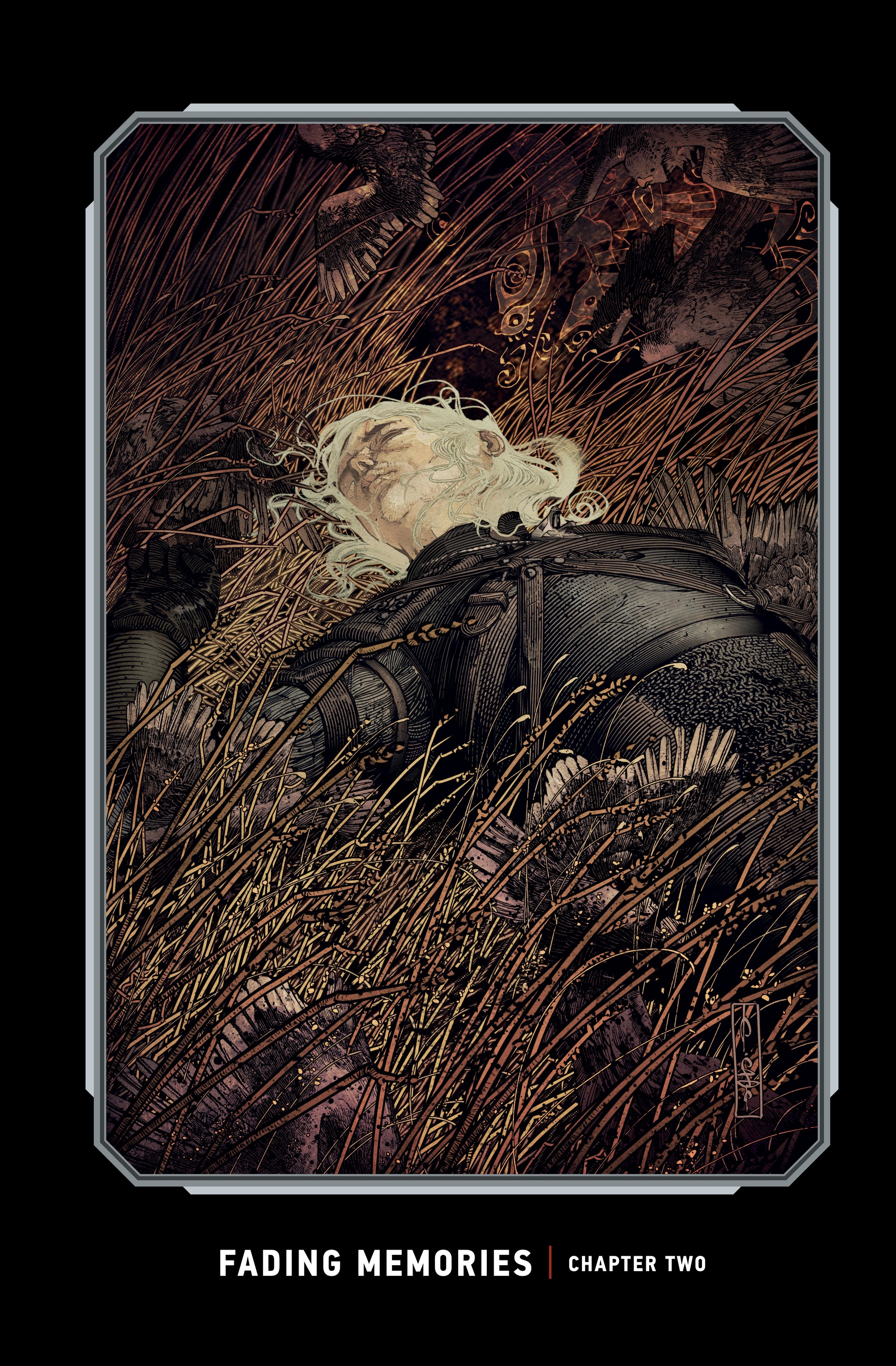 The Witcher: Library Edition (2018-) issue Vol. 2 - Page 135