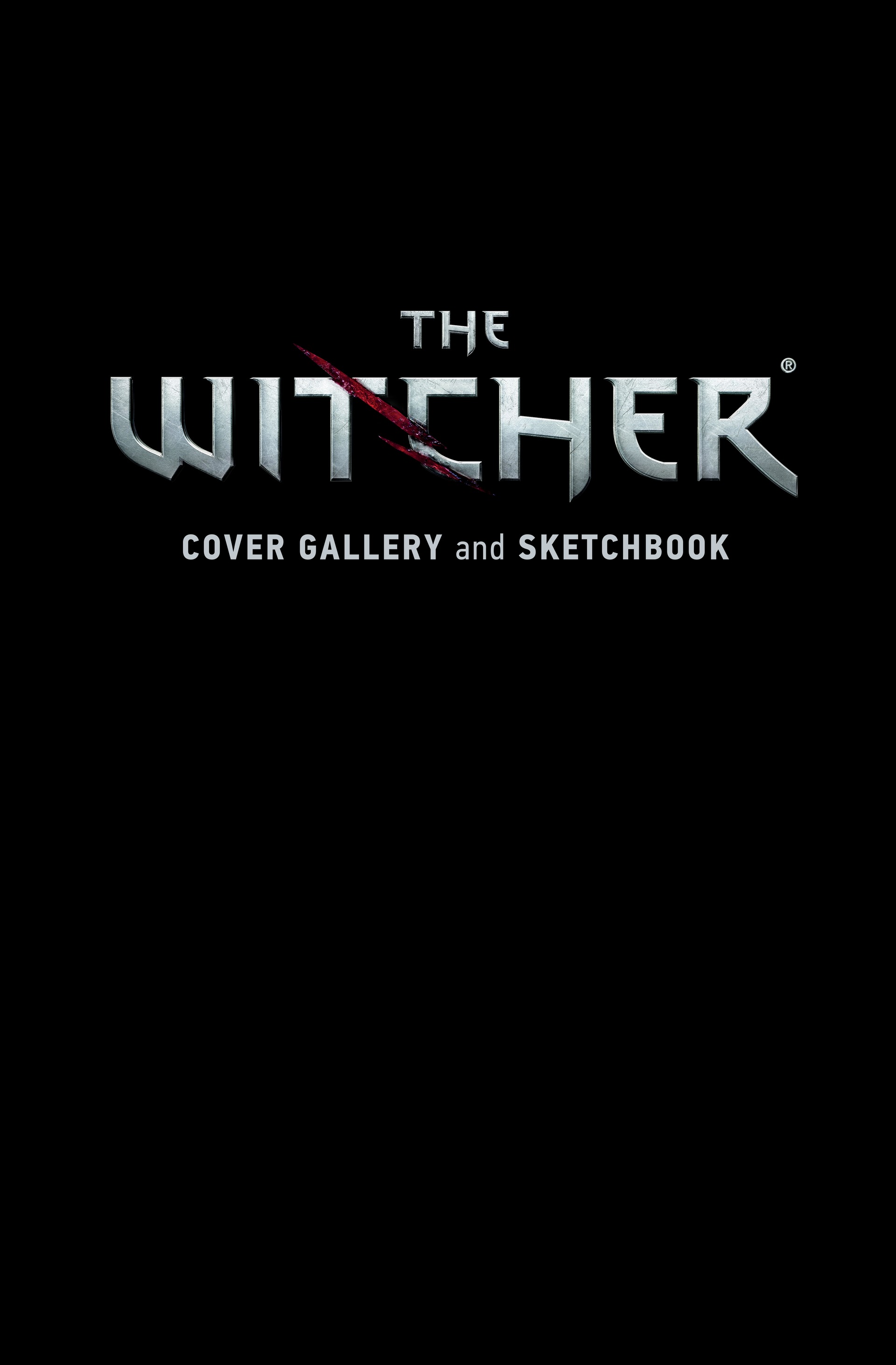 The Witcher: Library Edition (2018-) issue Vol. 2 - Page 312