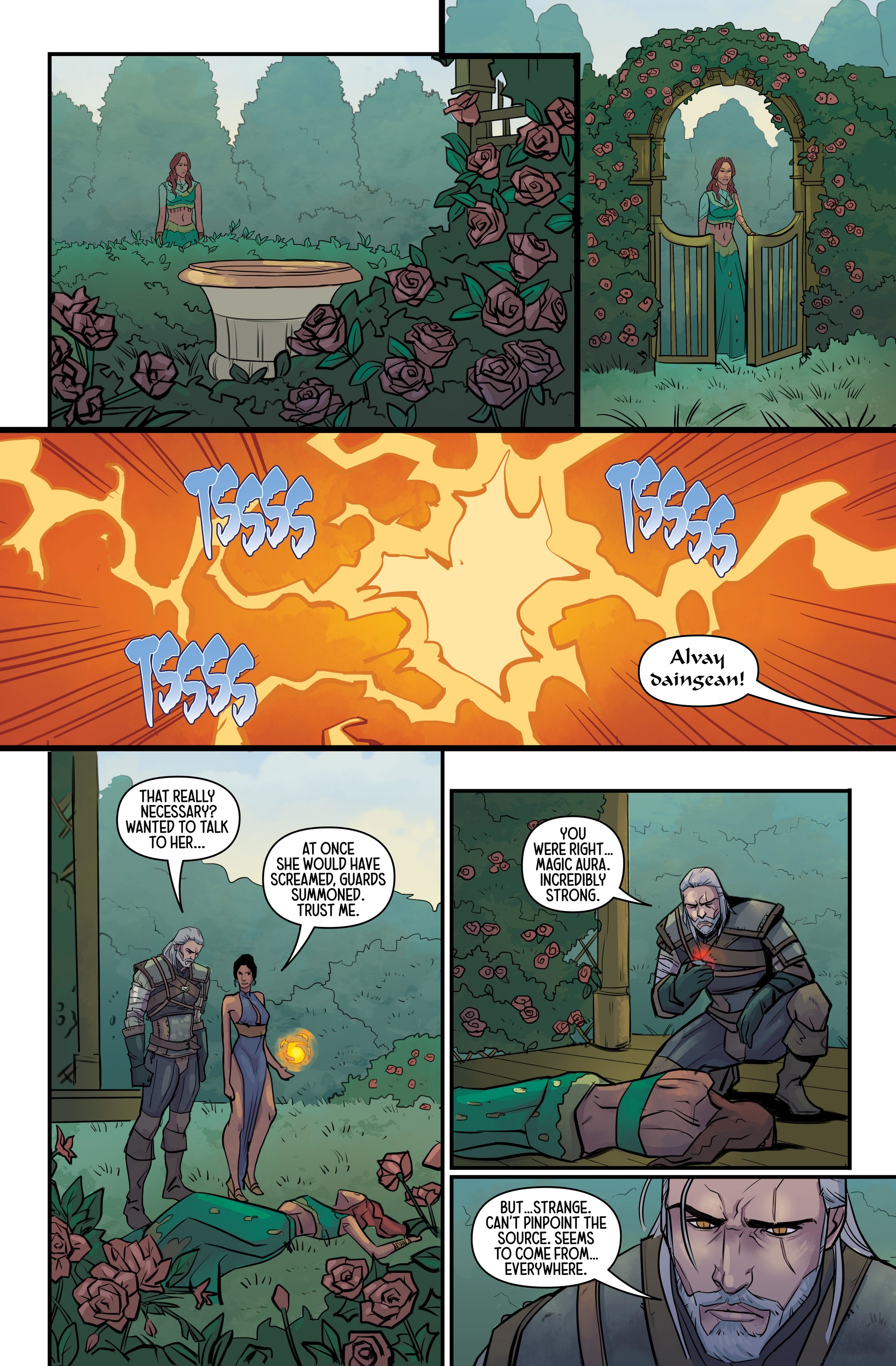 The Witcher: Library Edition (2018-) issue Vol. 2 - Page 51