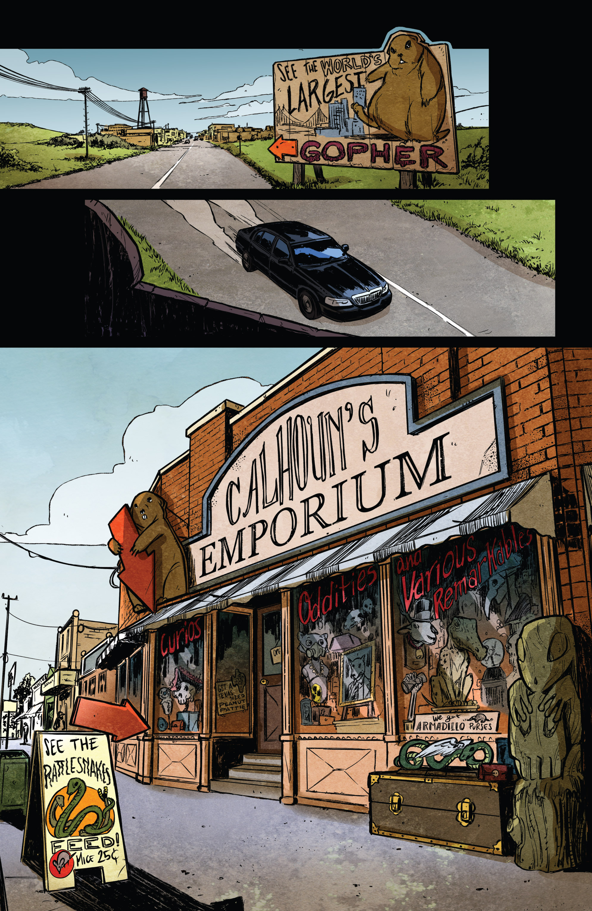 The X-Files: Case Files—Hoot Goes There? (2018-) issue 1 - Page 9