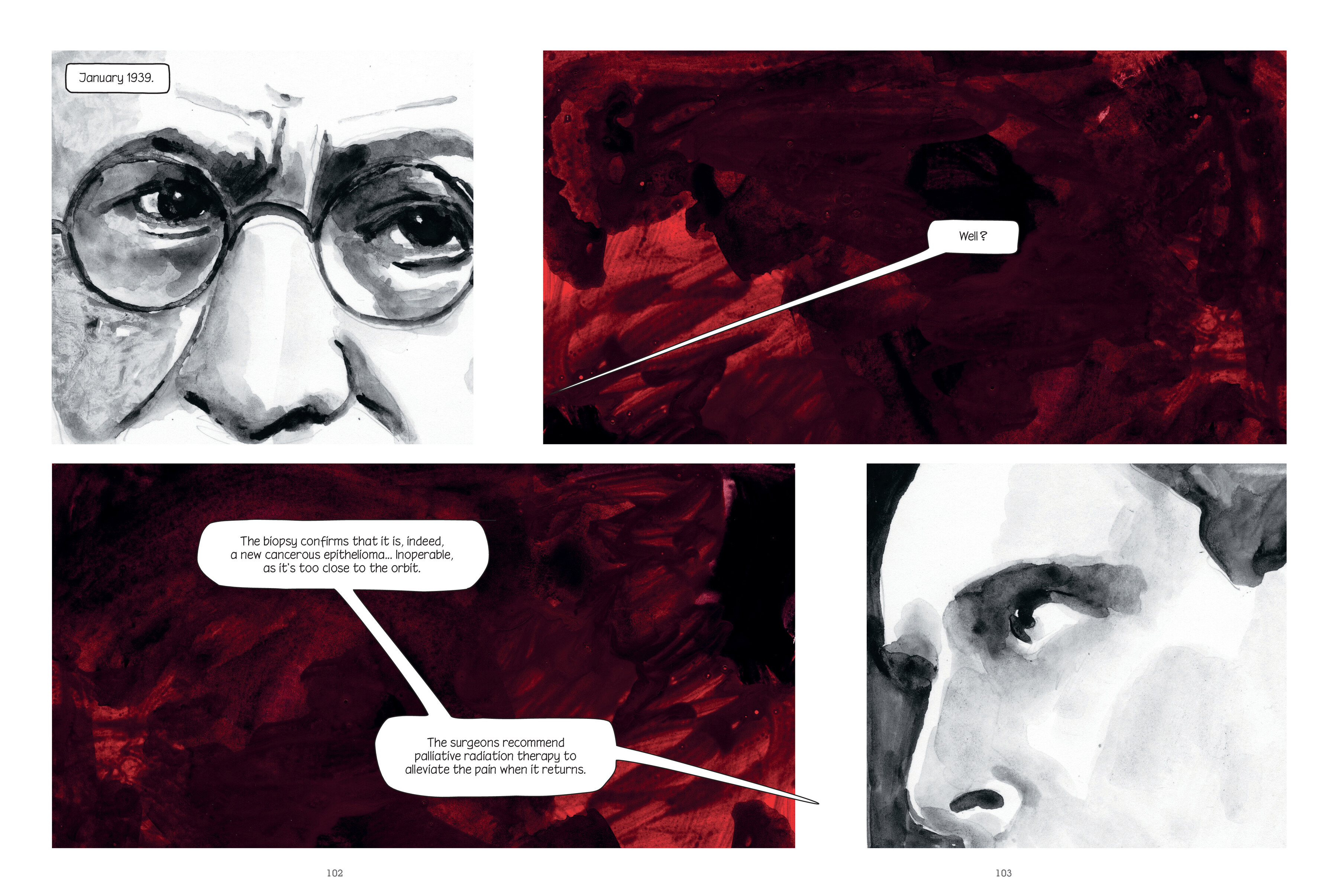 Through Clouds of Smoke: Freud's Final Days (2023) issue 1 - Page 101