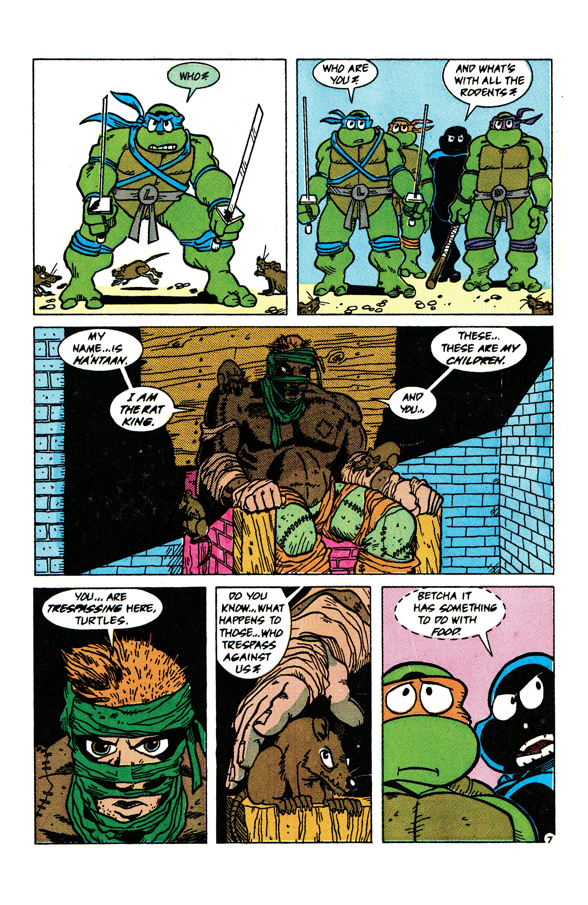 TMNT: Best of - Rat King (2022) issue 1 - Page 43