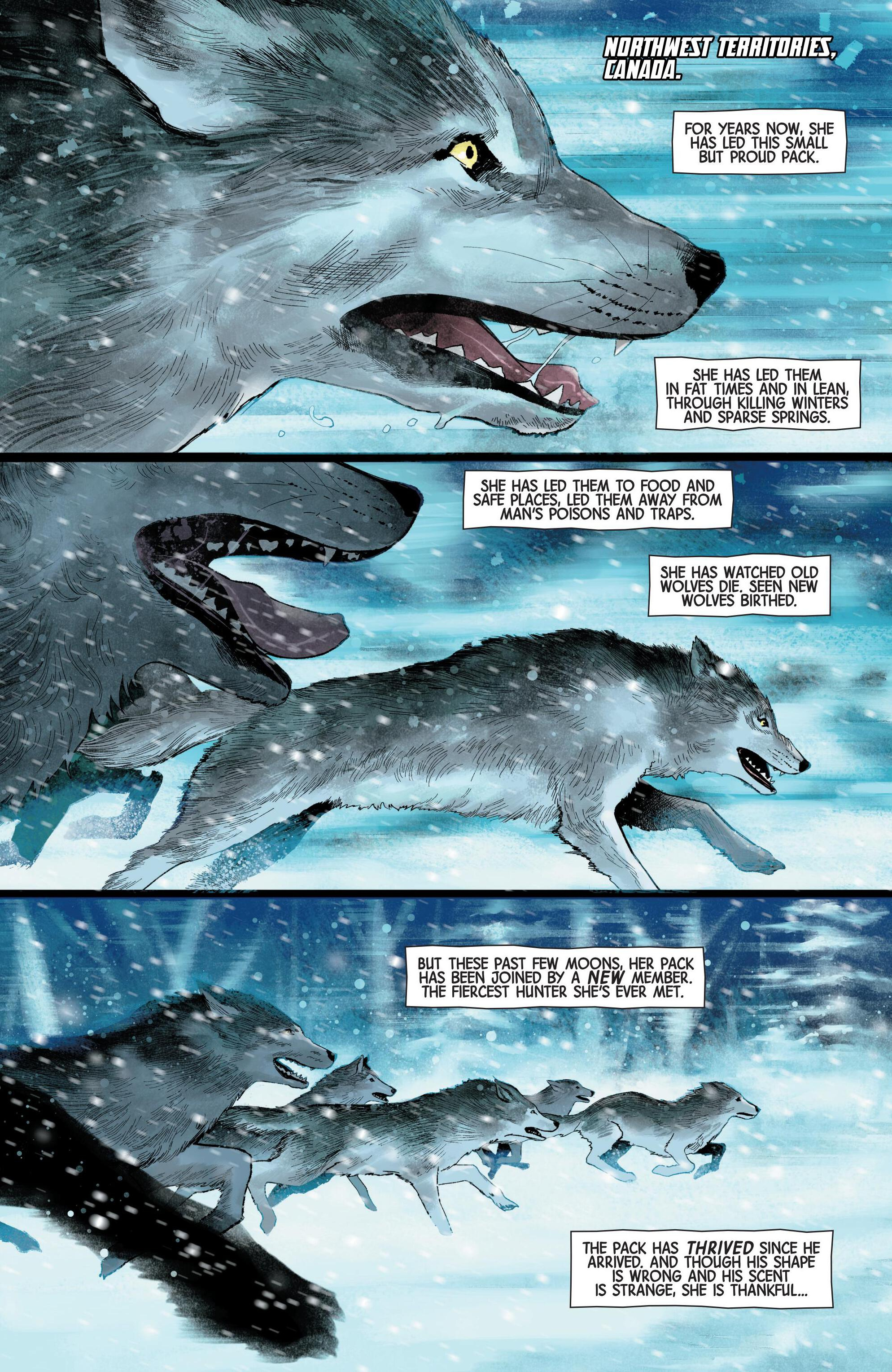 Wolverine (2024-) issue 1 - Page 2